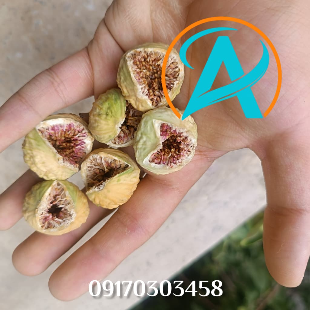 فروش انجیر پرک اعلاء + خرید به صرفه